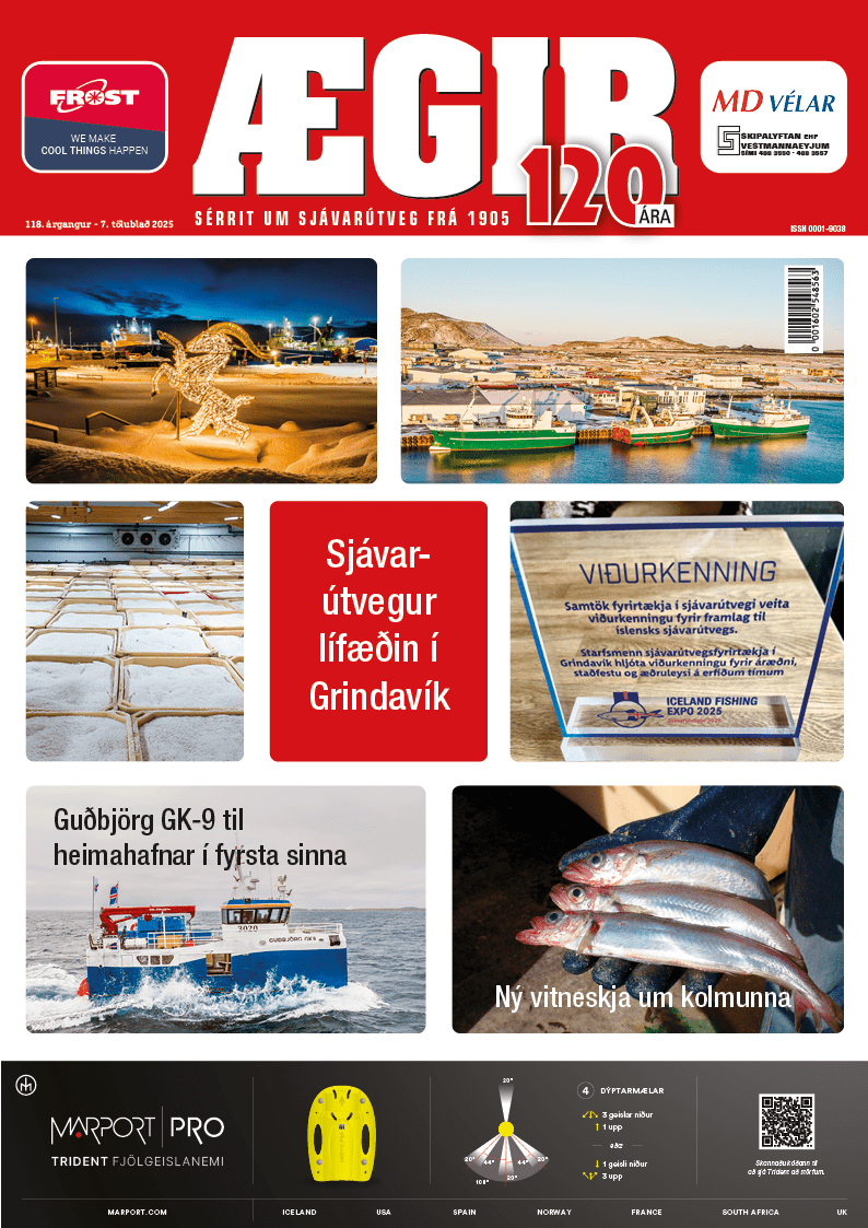 1_Aegir_7_tbl_nov_2025_umbrot_15